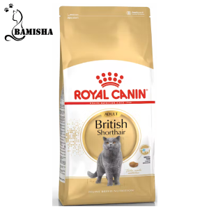 غذای خشک گربه رویال کنین مدل بریتیش شورت هیر